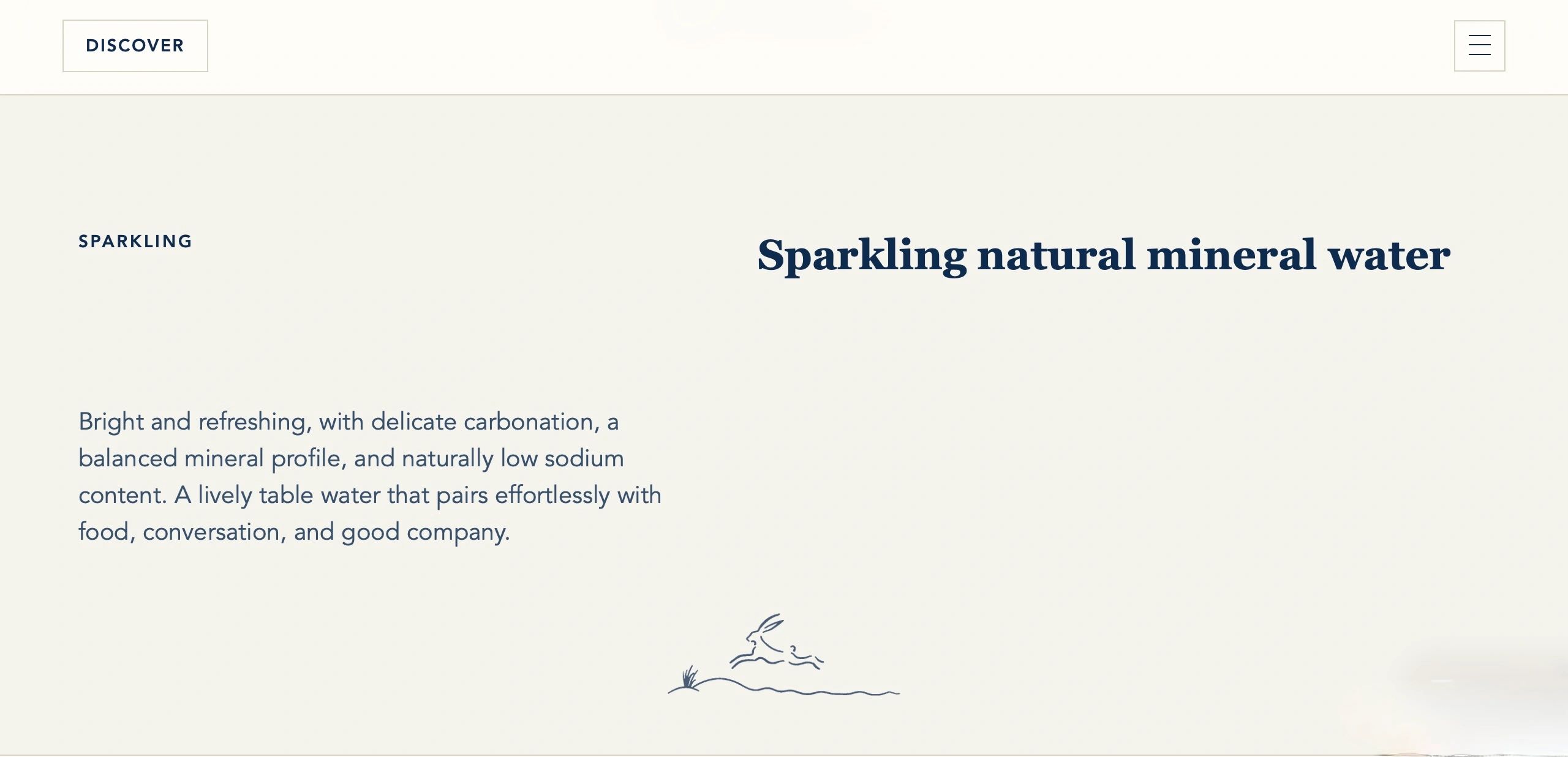 Description of sparkling natural mineral water with delicate carbonation and balanced minerals.
