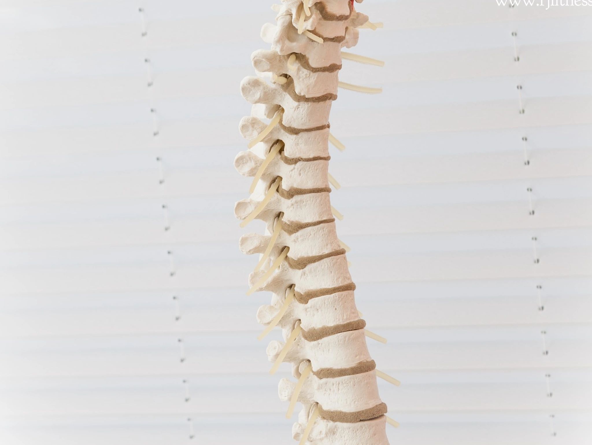 10 Reasons Your Back Could Be Hurting