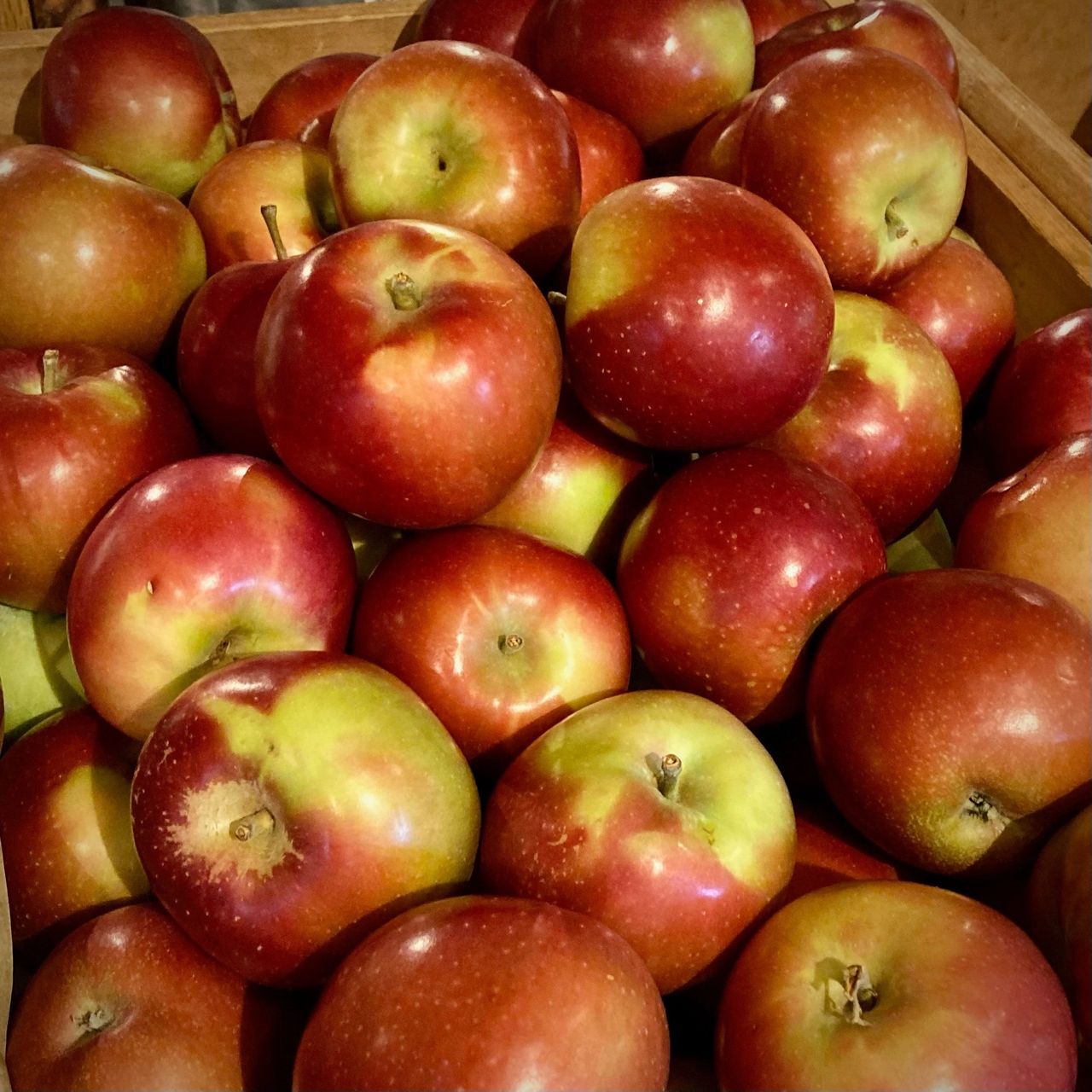 McIntosh Apples: Homegrown  The Citrus Tree Fresh Produce Market