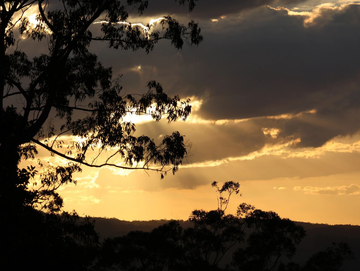 Sunset with dark clouds and silhouetted trees creating a serene landscape.