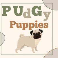 PUdGy Puppies