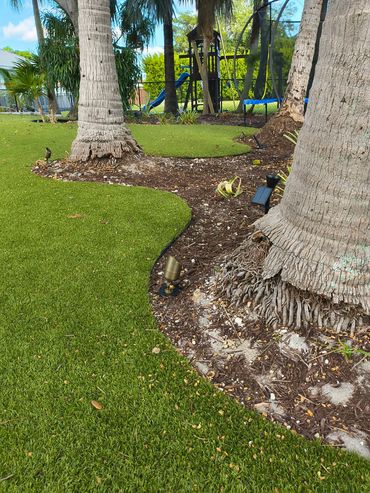 New landscape lighting system installed—bringing the backyard to life after dark.