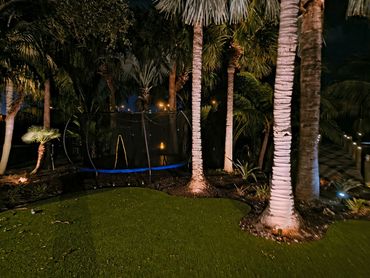 New landscape lighting system installed—bringing the backyard to life after dark.