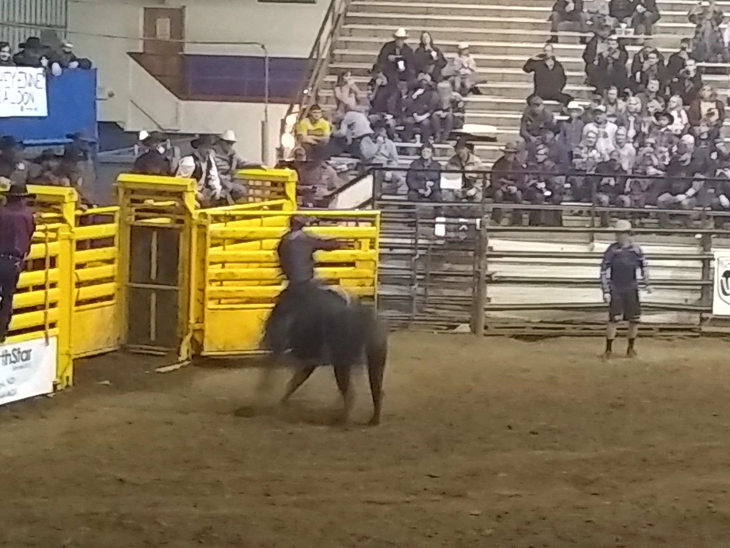 North Dakota Winter Show