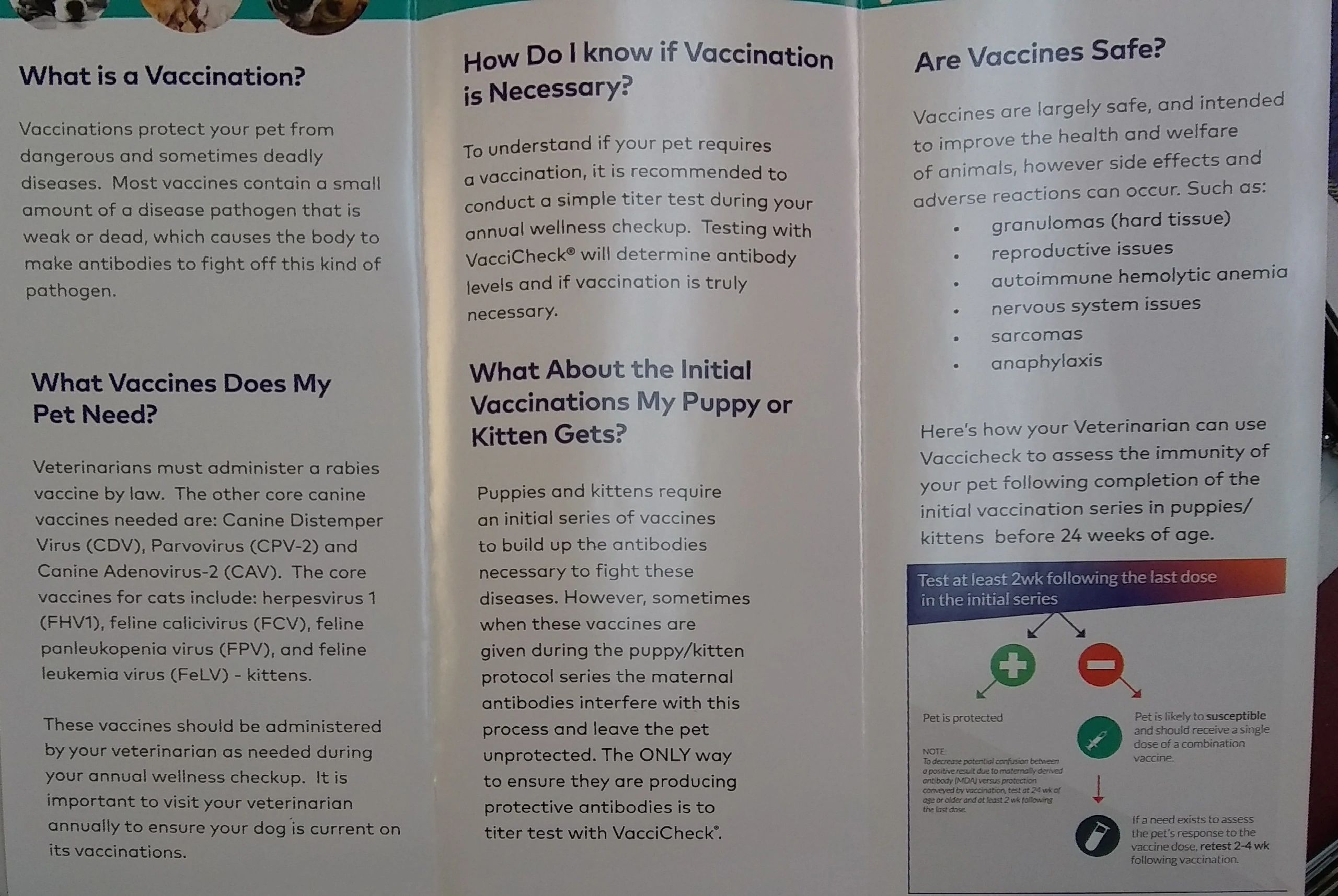 dog-distemper-vaccine-titer