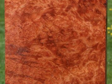 Curly Redwood Burl