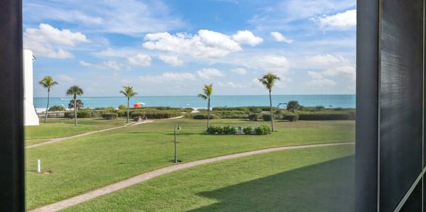 View of a grassy lawn and palm trees leading to a blue ocean under a partly cloudy sky.