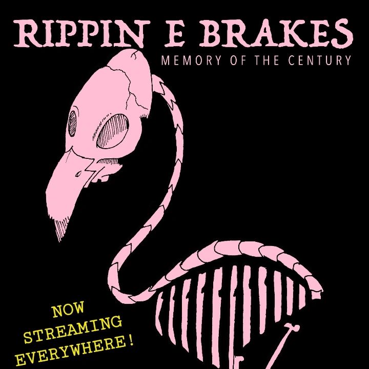 Image of a pink, flamingo skeleton with the text: Rippin E Brakes, Memory of the Century