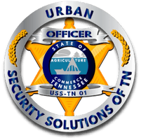 Urban Security Solutions