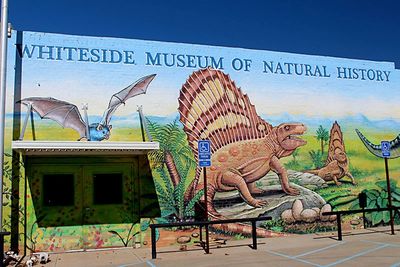 Whiteside Museum of Natural History (www.austinchronicle.com)