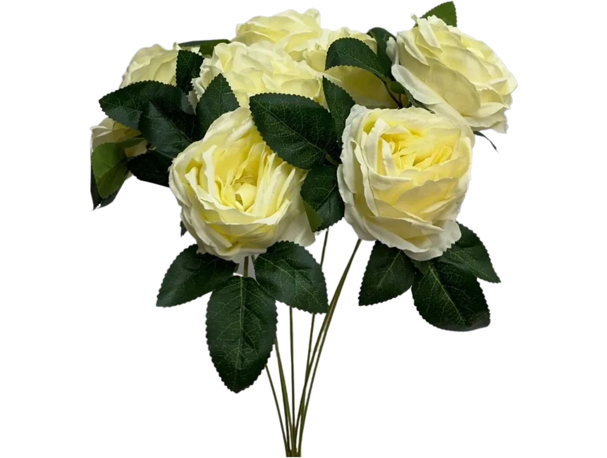 7H CREAM CABBAGE ROSE BQT