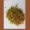 CRAPPIE STINGERS .COM