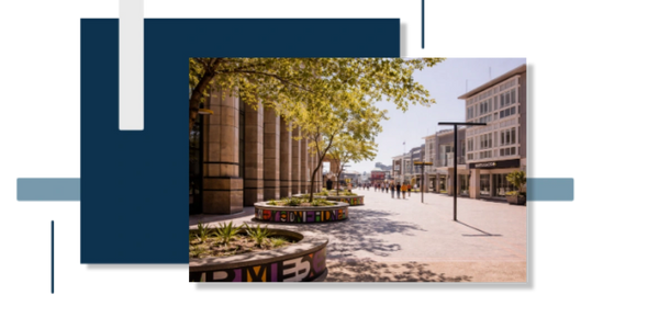 Sunny urban street with modern buildings and colorful planters.