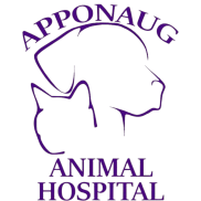 Apponaug Animal Hospital