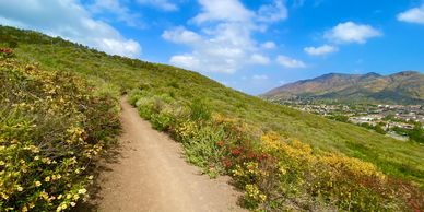 Conejo Valley hiking group. Check out Conejo Valley Hikers, Walkers & More! (Beginner+) on Meetup