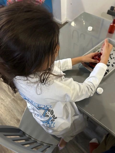Stem Prep