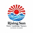 Rising Sun