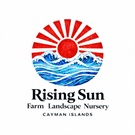 Rising Sun