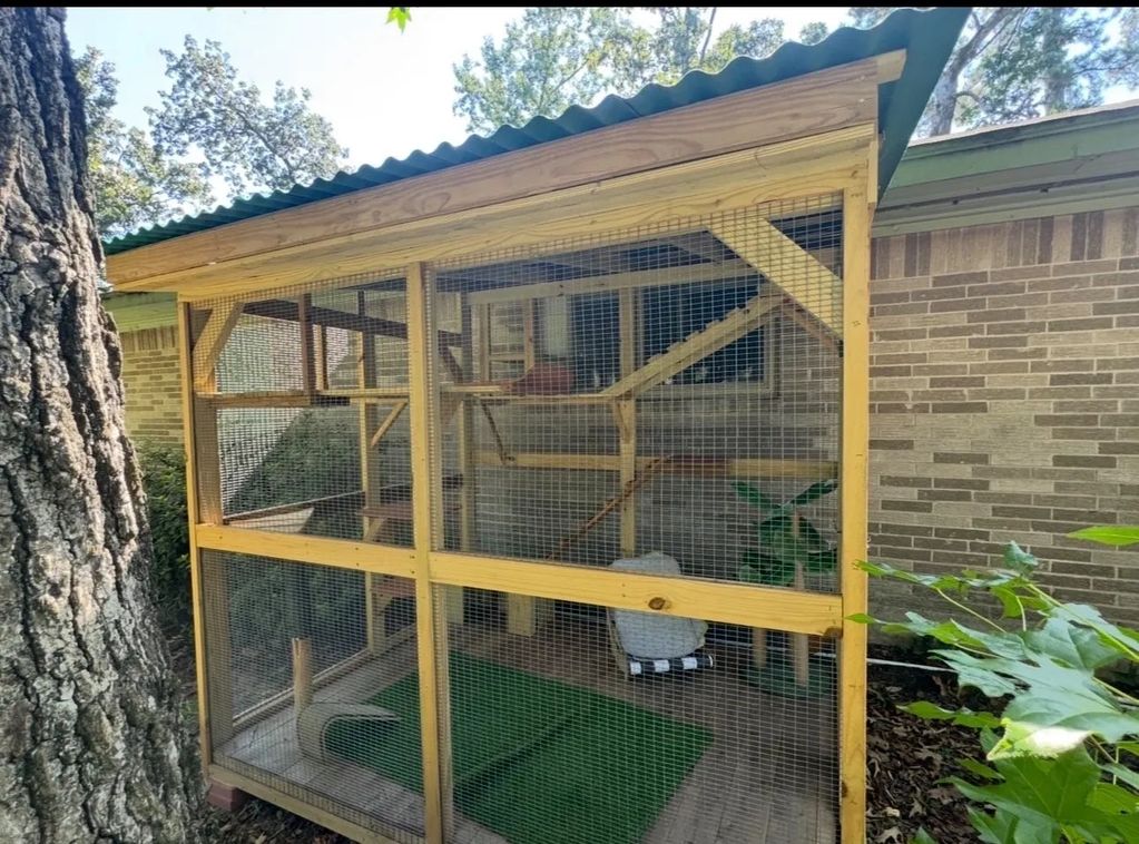 Custom Cat Enclosure