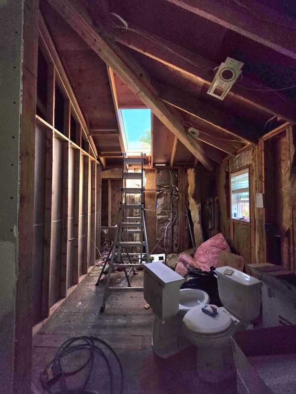 Vaulted ceiling and skylight framing for our full master suite redesign, built from layout to finish