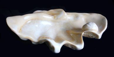 THE VENUS PEARL, the rarest pearl in the world and the biggest fossil pearl ever found.