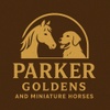 Parker
Goldens