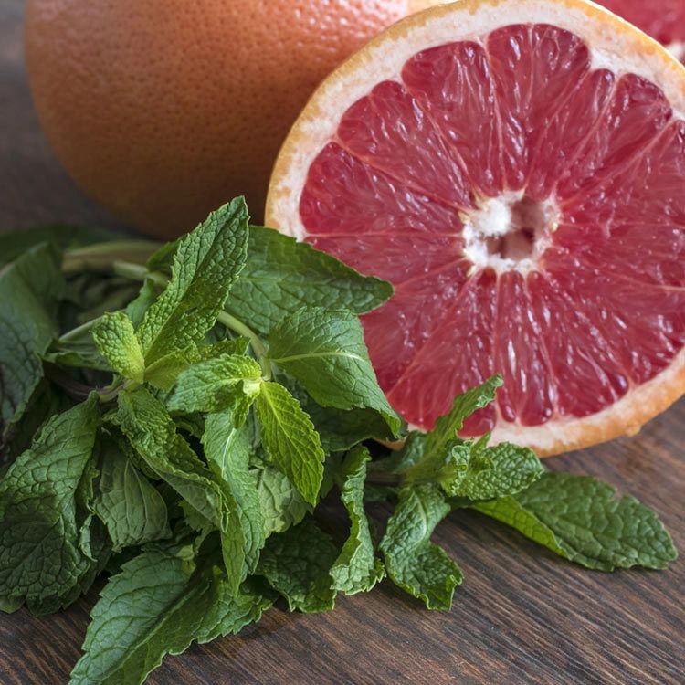 Grapefruit and Mint