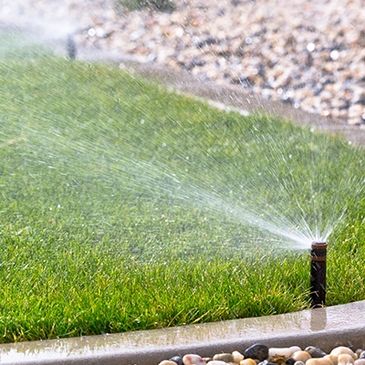 Professional Sprinkler Installation 