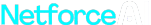 netforceai.com