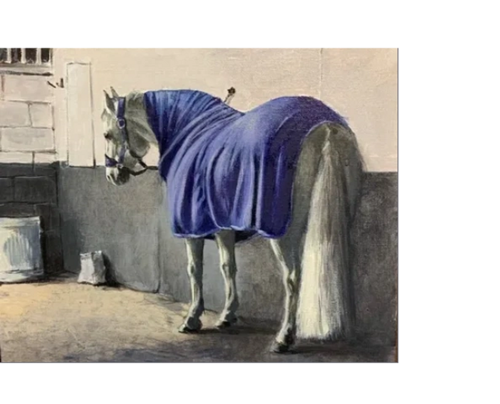 HOME & HOSED DOWN
Oil on Canvas
12 x 9 inches