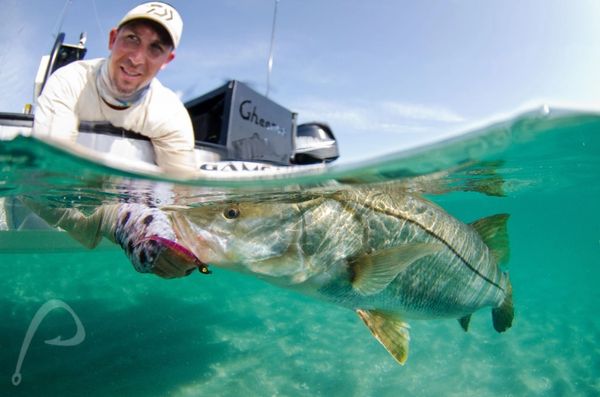 Snook fishing Jupiter inlet Jupiter, fl