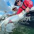 Inshore fishing charter tarpon fishing Jupiter and palm beach Florida 