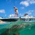Light tackle shark fishing fun for the family, palm beach, Florida 
