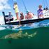 Kids love shark fishing on light tackle, Palm Beach, Florida 