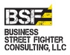 Business Street Fighter Consulting