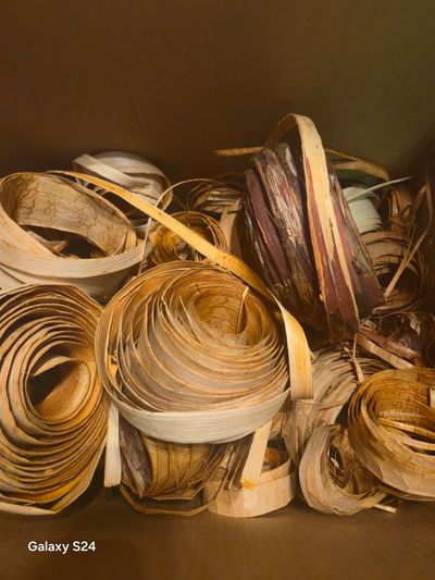 Coiled strips of dried wood or bark in a box.