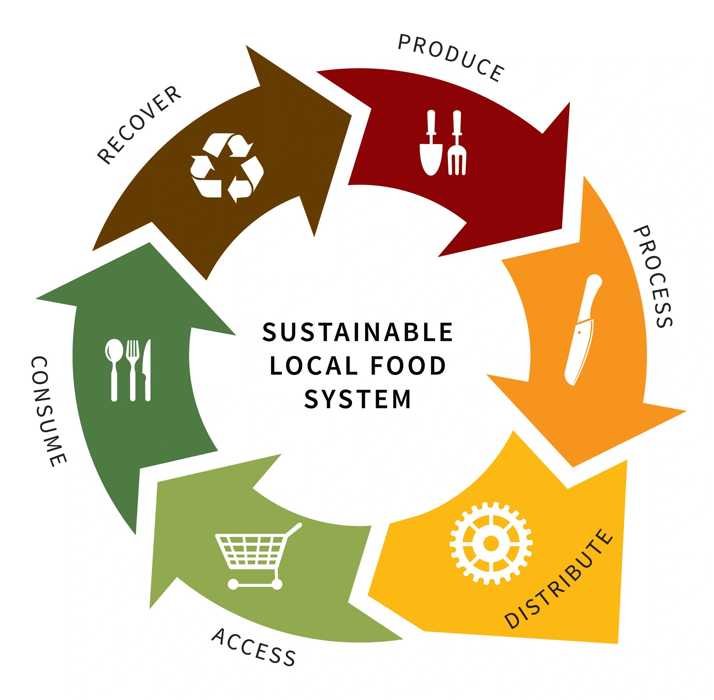 Система фуд. Food System. Sustainable food. Food Practices in Transition.