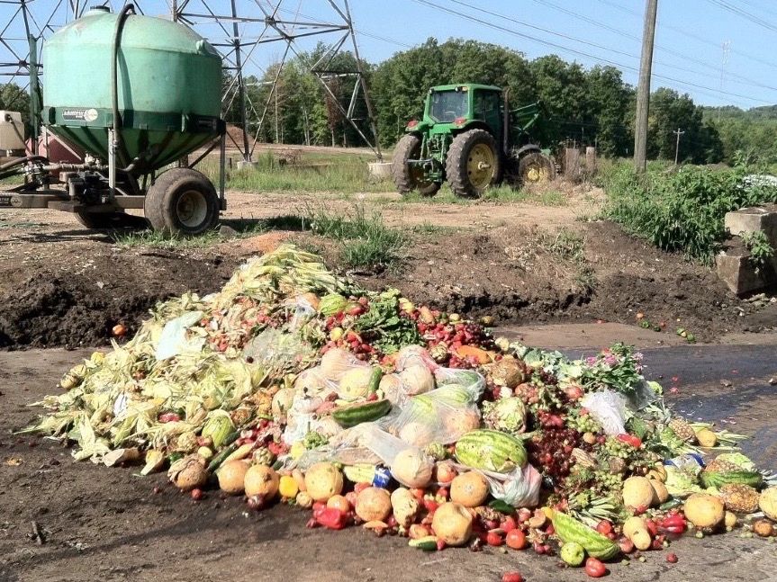 Pandemic Food Waste From FarmToTable To FarmToTrash