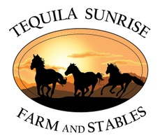 Tequila Sunrise Farm and Stables