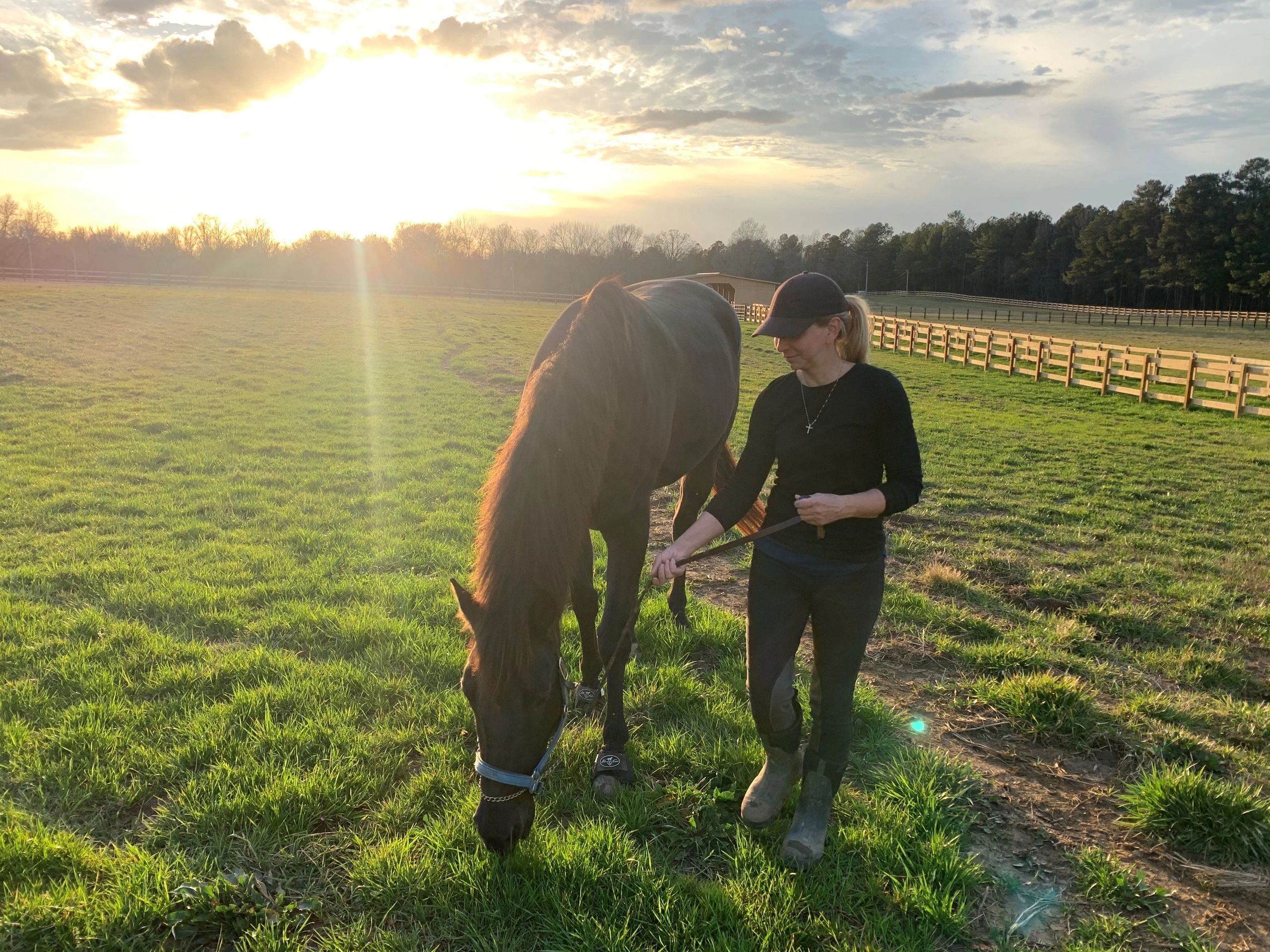 Tequila Sunrise Farm And Stables