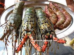 Fresh lobsters 