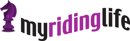 Logo featuring a purple knight chess piece with stylized text.