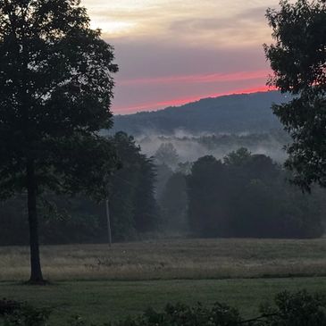 Misty valley with trees at sunrise, framed by tall trees.