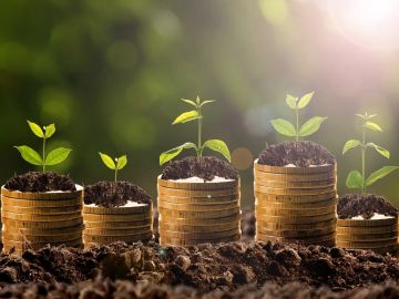Growing plants on stacks of coins symbolizing financial growth.