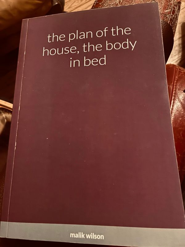 Book titled 'the plan of the house, the body in bed' by malik wilson.
