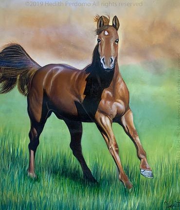 dark horse pure bred in the farm wildlife oil painting