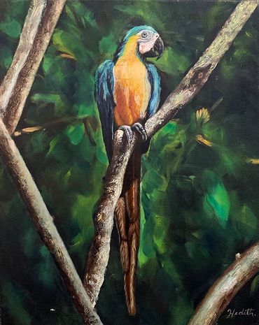 tropical bird macaw guacamaya amazon south america wildlife oil painting