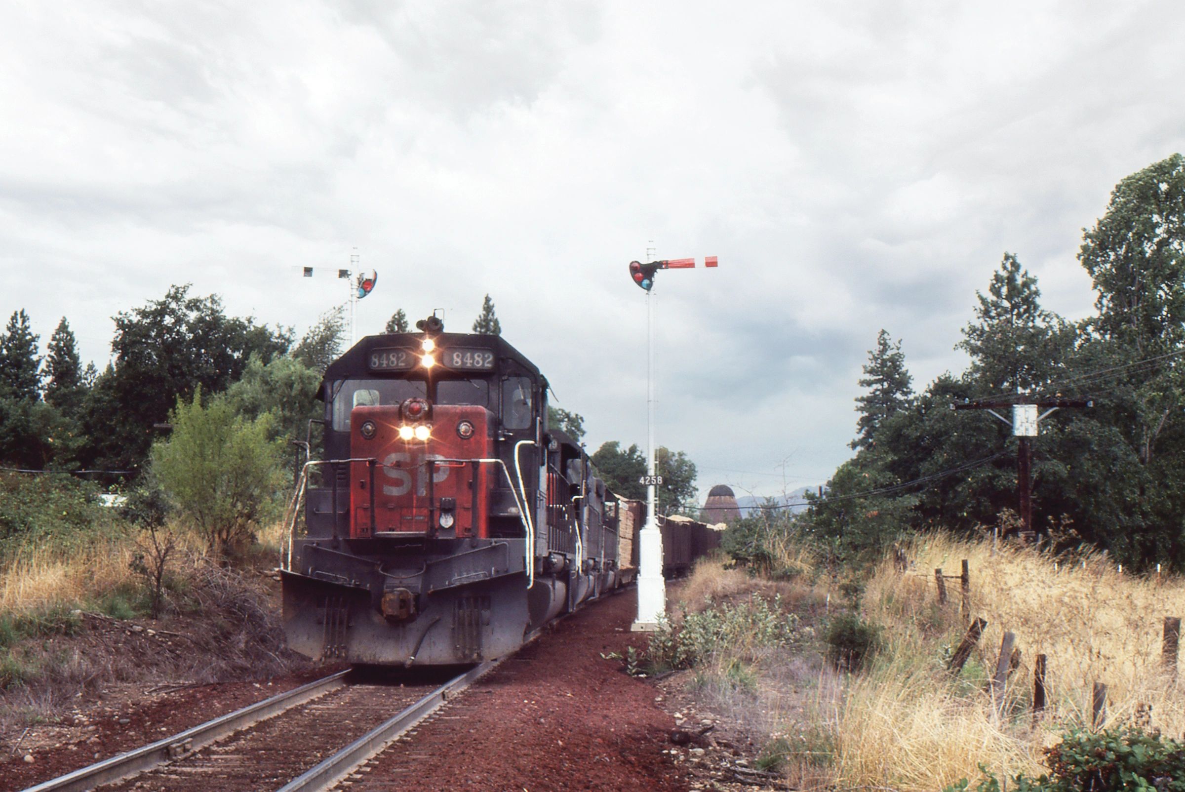 A train moving on a railroad