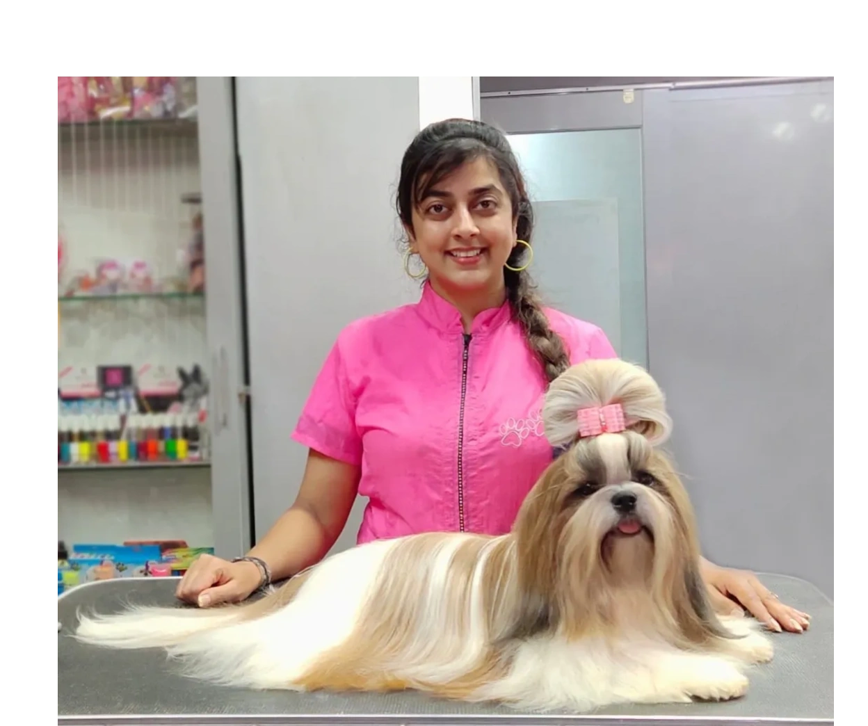 Fuzzy Wuzzy - Pet Grooming, Pet Grooming School, Pet Spa Fuzzy Wuzzy - Pet Grooming, Pet Grooming School, Pet Spa