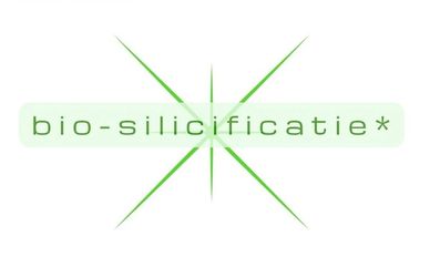 biosilicificatie Orthosiliciumzuur dieren silicium #biosilicificatie #liquidsilicium #silprovit